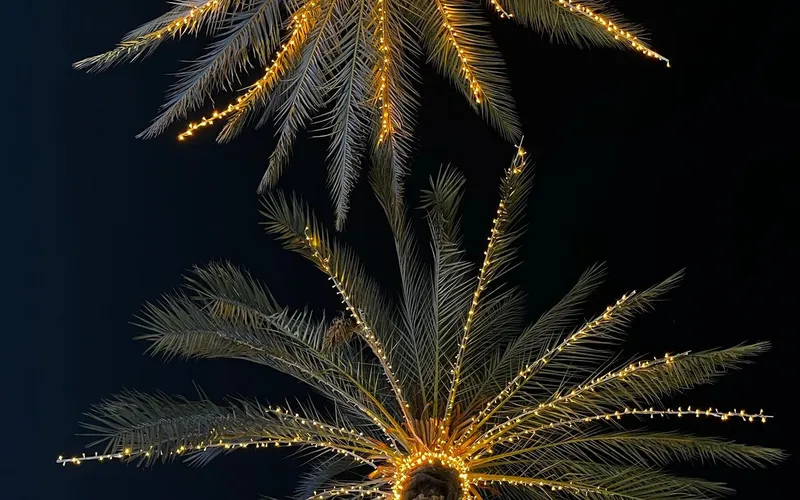 Palmes de palmiers vues d'en bas, entourées de guirlandes lumineuses dorées, sur un ciel de nuit