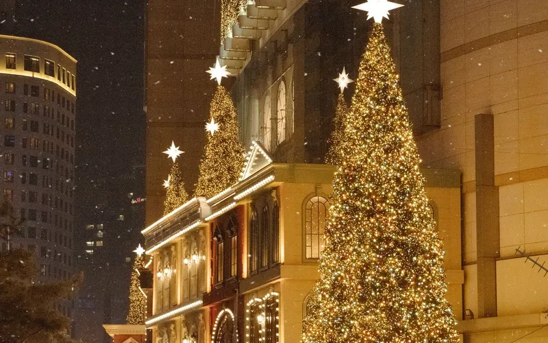 Grands sapins lumineux surmontés d'étoiles devant des façades soulignées d'ampoules, sous la neige, la nuit en ville