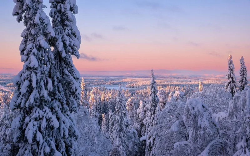 Forêt d'épicéas couverts de neige sous un ciel rose et mauve, au soleil bas d'une fin de journée d'hiver en Finlande
